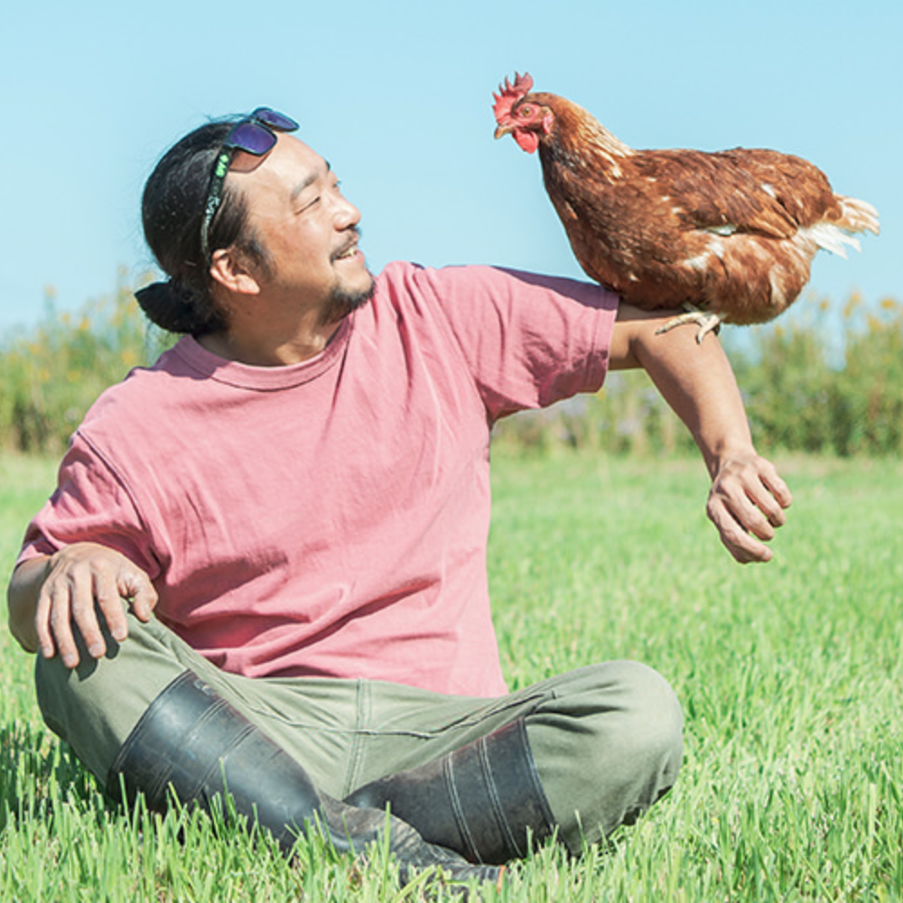 平飼い有精卵(オーガニック)