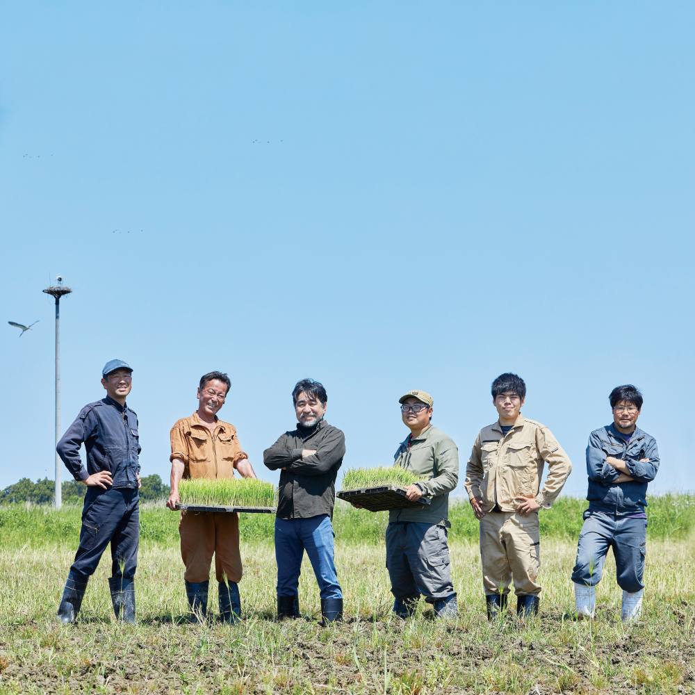 産有機小麦粉 強力粉ゆきちから